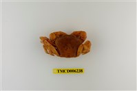 藏品(拉氏清溪蟹)的圖片